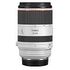 CANON RF 70-200mm F/2.8L IS USM (3792C005)