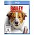 Bailey - Ein Hund kehrt zurück (Blu-ray, 2019, D.Quaid / J.Gad)