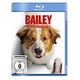 Bailey - Ein Hund kehrt zurück