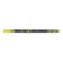 FISCHER Twin Skin Pro Stiff IFP