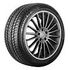 GRIPMAX Status Pro Winter 205/45 R17 88V XL