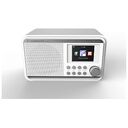 ALBRECHT DR 490, White