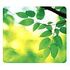 FELLOWES Earth Series Mousepad - Leaves (5903801)