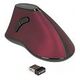 DELOCK Ergonomic Optical Mouse, Black / Red (12599)