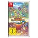 Pokémon Mystery Dungeon: Retterteam DX