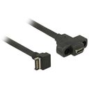 DELOCK Kabel USB 3.1 Gen 2 Key A 20Pin Stecker auf USB 3.1 Gen 2 USB Type-C Buchse zum Einbau 45cm (85326)