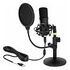 DELOCK Professional USB Condenser Microphone Set for Podcasting and Gaming (66300)