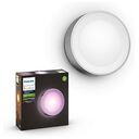 PHILIPS Hue White & Color Ambiance - Daylo Outdoor Wandleuchte, Edelstahl (17465/47/P7)