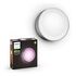 PHILIPS Hue White & Color Ambiance - Daylo Outdoor Wall Light, Stainless Steel (17465/47/P7)