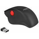 DELOCK ergonomic USB mouse - wireless (12598)