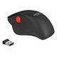 DELOCK ergonomic USB mouse - wireless (12598)