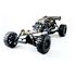 AMEWI Pitbull X Evolution 2WD Desert Buggy 2WD 1:5 (22414)