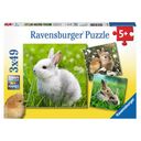 Niedliche Häschen - 3x 49 pieces (Ravensburger)