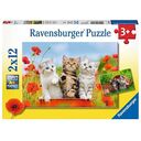 Katzen auf Entdeckungsreise 2x 12 pieces (Ravensburger)