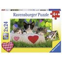 Verschlafene Kätzchen - 2x 24 Teile (Ravensburger)