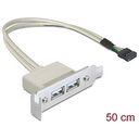 DELOCK Slot bracket USB 2.0 low profile 2 port (83119)
