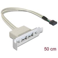 DELOCK Slotblech USB 2.0 Low Profile 2 Port (83119)