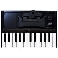 ROLAND K-25m