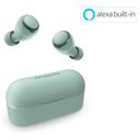 PANASONIC RZ-S300W, Green