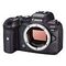 CANON EOS R6 Body + EF Adapter