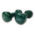 TUNTURI Vinyl Dumbbell 2 x 2 kg, Green