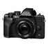 OLYMPUS OM-D E-M10 Mark IV Pancake Kit, 14-42mm, Black (V207132BE000)