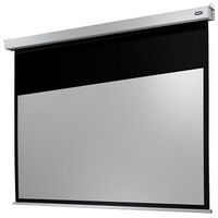 CELEXON Motor Professional Plus, 16:10, 300x187cm (1090805)