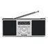 TECHNISAT DigitRadio 1 S, Black / Silver (0000/3916)