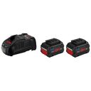 BOSCH 2 x ProCORE18V 5.5Ah + GAL 1880 CV Professional (1600A0214C)