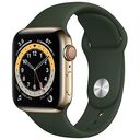 APPLE Watch Series 6 GPS + Cellular, 40mm Edelstahlgehäuse, Gold mit Sportarmband, Zyperngrün (M06V3FD/A)