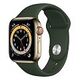 APPLE Watch Series 6 GPS + Cellular, 40mm Edelstahlgehäuse, Gold mit Sportarmband, Zyperngrün (M06V3FD/A)