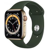 Apple Watch Series 6 Gps Cellular 44mm Stainless Steel Case Gold With Sport Band Cyprus Green M09f3fd A From Chf 738 00 At Toppreise Ch