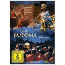 Little Buddha (DVD, 1993)