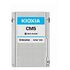 KIOXIA CM5-R-Series Enterprise, 3.84TB (KCM51RUG3T84)