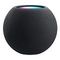 APPLE HomePod mini, Space Gray (MY5G2)