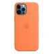 iPhone 12 Pro Max Silicone Case with MagSafe