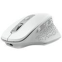 TRUST Ozaa Rechargeable Wireless Mouse, White (24035)