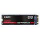 EMTEC X250 Power Plus SSD M.2, 512GB (ECSSD512GX250)
