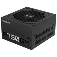 GIGABYTE P750GM, 750 Watts