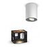 PHILIPS Hue White Ambiance - Pillar Ceiling Light 1-Spot, Extension, White (56330/31/P9)