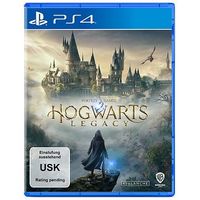 Manette- Hogwarts Legacy - Paysage - PS4