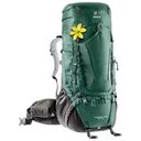DEUTER Aircontact 55 + 15 SL, Seagreen Coffee (3330020-2609)