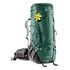 DEUTER Aircontact 55 + 15 SL, Seagreen Coffee (3330020-2609)