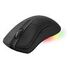 DELTACO GAMING DM430 Wireless Gaming Mouse, Black (GAM-107)