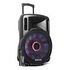 FENTON FT15LED Aktiv Trolley-Speaker (170093)