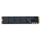 INTEL Optane SSD DC P4801X M.2 with Heatspreader, 100GB (SSDPEL1C100GA01)