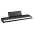 KORG B2, Black