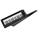 KORG RK-100S 2, Black