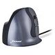 EVOLUENT VerticalMouse D Large (BNEEVRDL/VMDL)