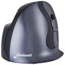 EVOLUENT VerticalMouse D Large Wireless (BNEEVRDLW/VMDLW)